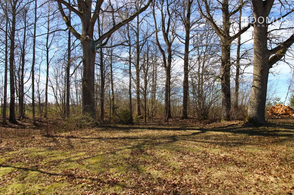 land_plot