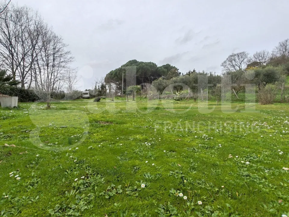 Aed - Rustic House with Garden in Collesalvetti