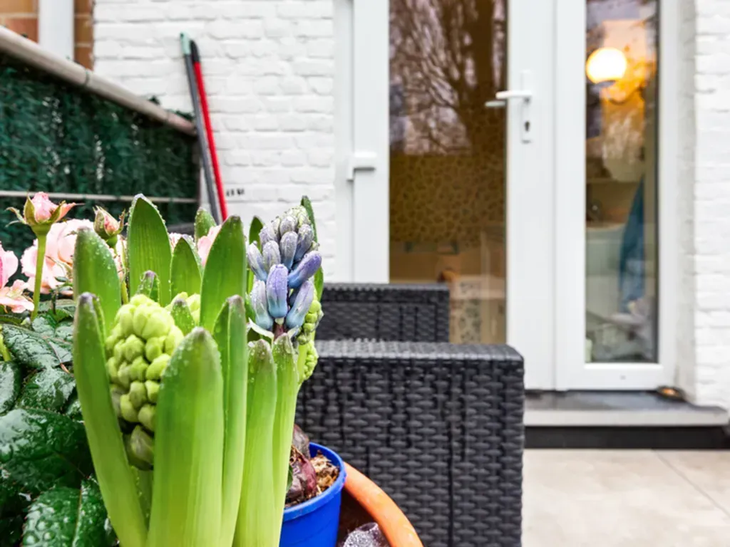 Terrace - Charming House in Bloemekenswijk, Gent