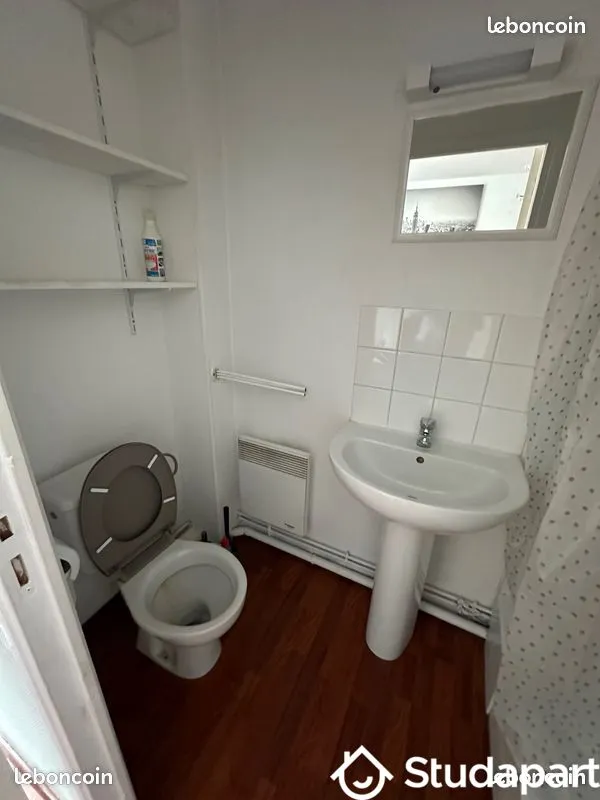 Salles de bain - Chambre en Colocation avec Combles Aménagés à Vauban