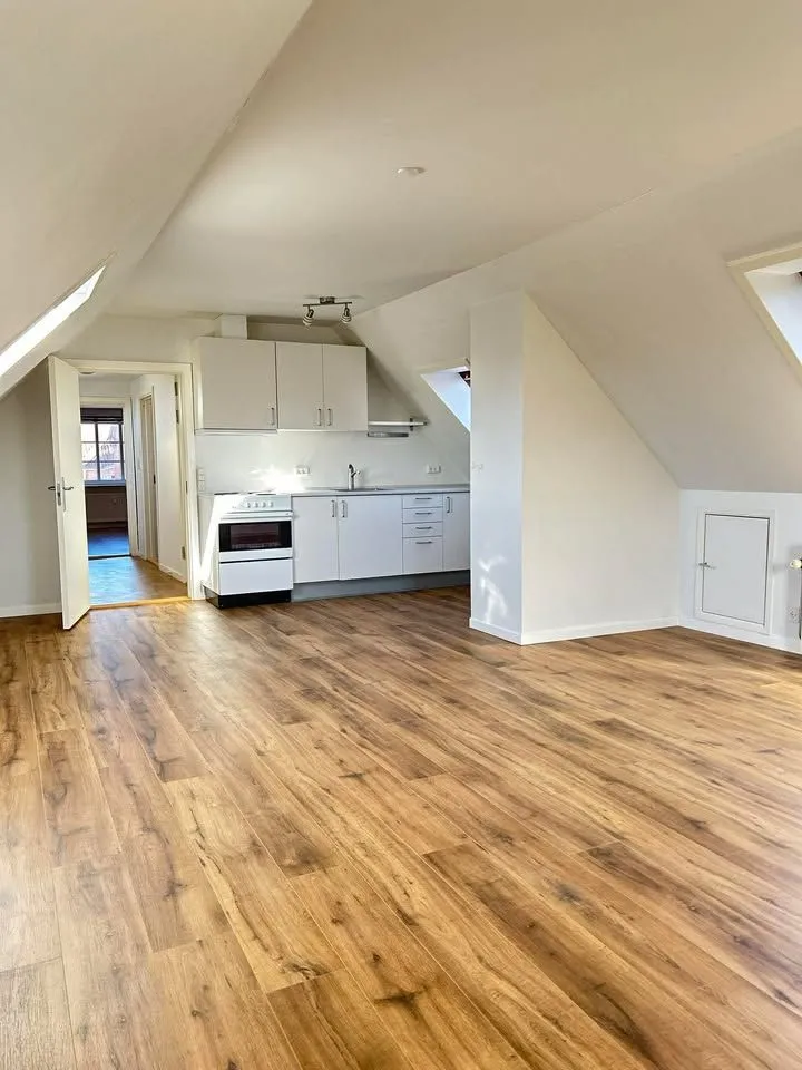 Toad - Fully Renovated Flat with Balcony in Viborg