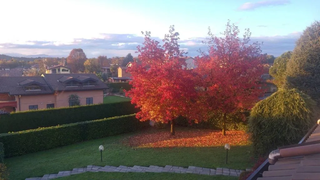 Jardin - Luxury Villa with Pool in Castronno