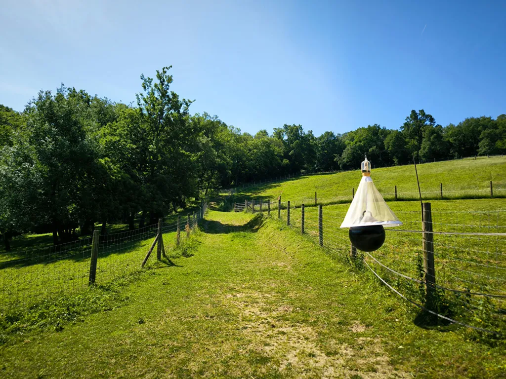 Aed - Charming Farmhouse with Paddock in Rural Setting