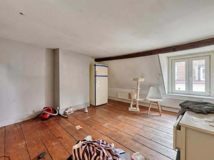 Toad - Apartment in Central Brussels