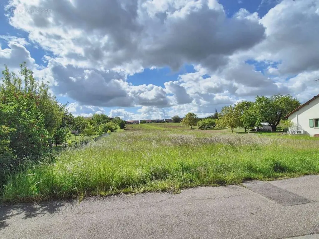 Garden - Constructible Plot with 14m Façade in Servigny