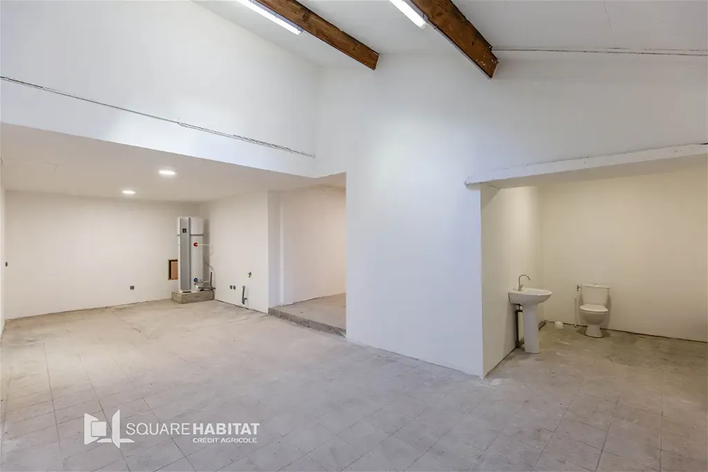 Toad - Fully Renovated Townhouse in Lannemezan
