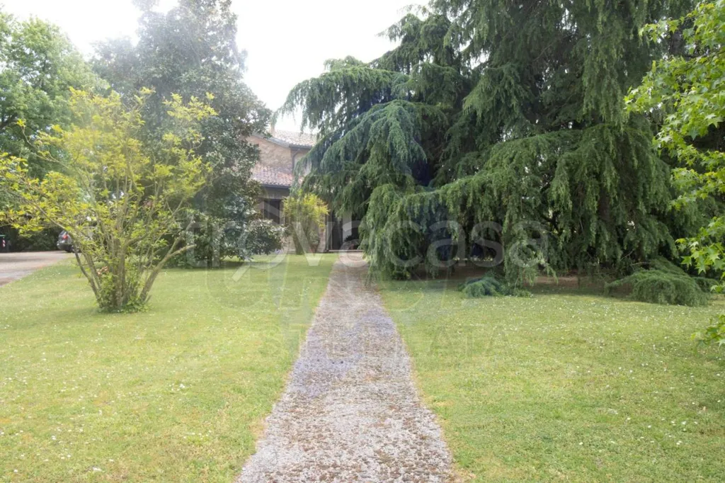 Jardin - Rustic Villa with Garden in Riva del Po