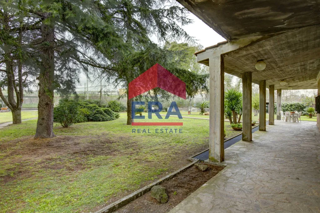 Terrasse - Villa with 4.5-Hectare Park in Ardea