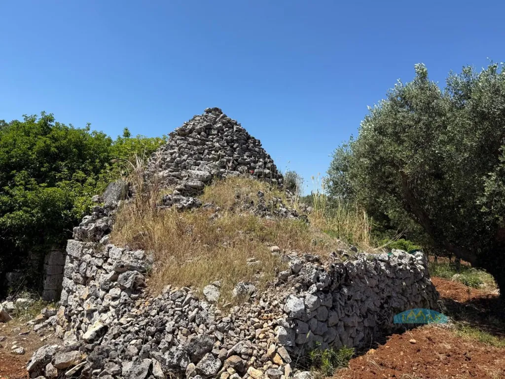 Jardin - Trullo with Olive Grove in Ceglie Messapica