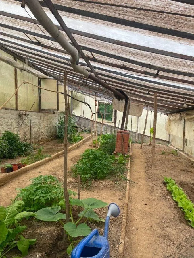 Jardin - Villa with Private Garden in Ceva