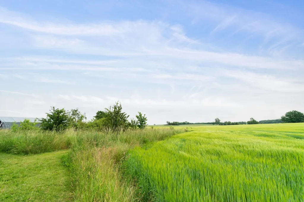 Jardin - Year-Round Plot with 5G Coverage in Orup