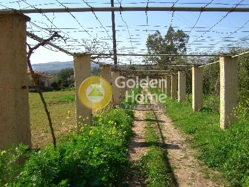 Aed - Plot with View in Koropi, Attica