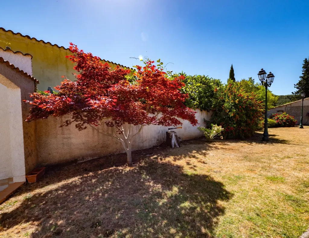 Jardin - Maison avec Vue Montagnes et Piscine à Bédarieux