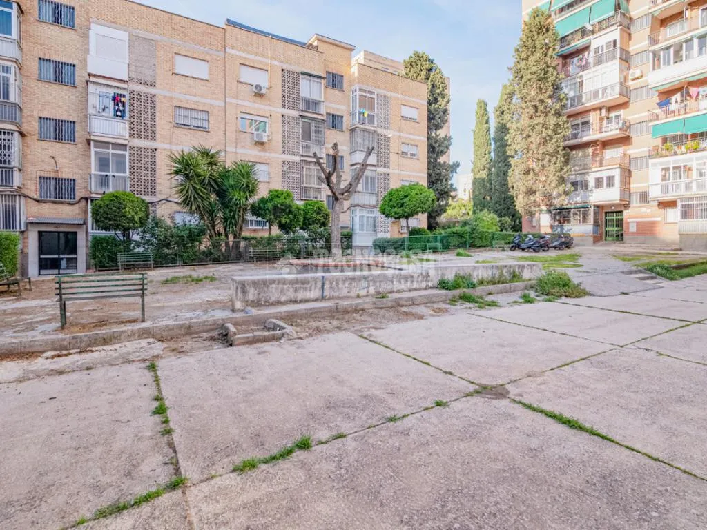Jardin - Four-Bedroom Flat with Terrace in Cartuja