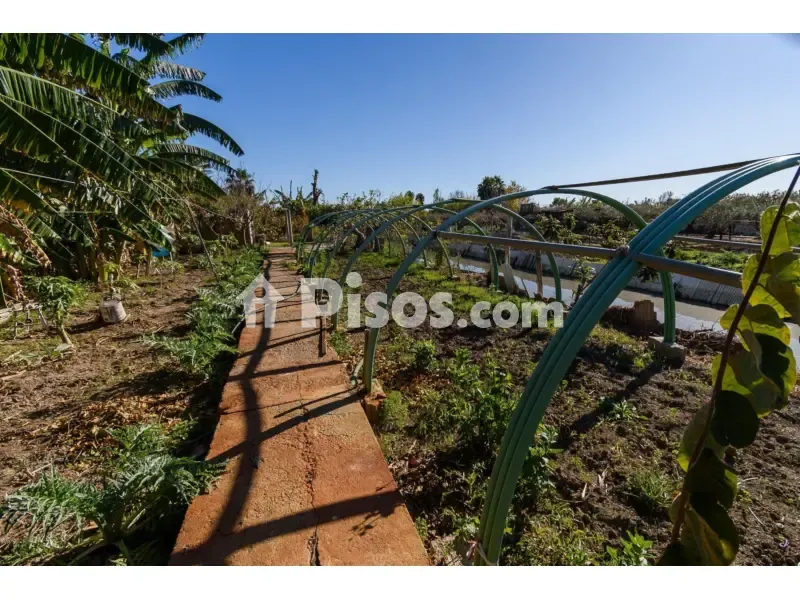 Jardin - Rustic Finca with Pool in Grao de Castellón