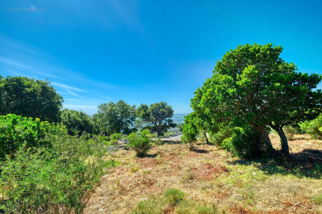 Jardin - Terrain Constructible avec Vues Panoramiques à Bastia