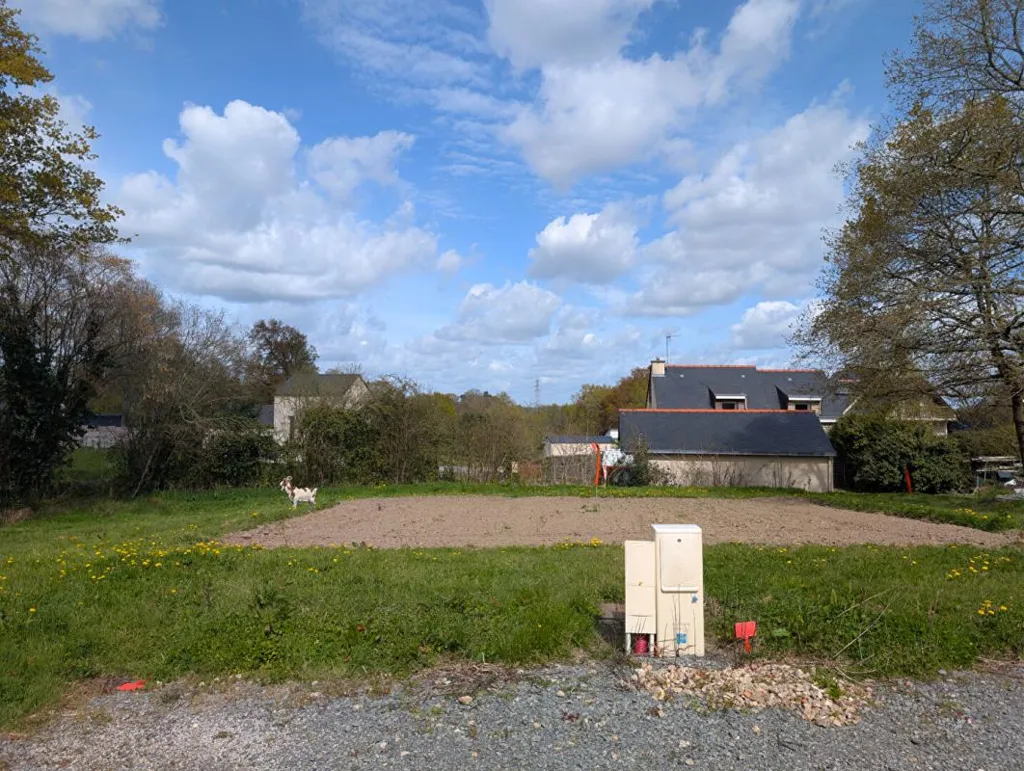 Jardin - Terrain Libre Constructeur avec Façade Ouest à Treillières