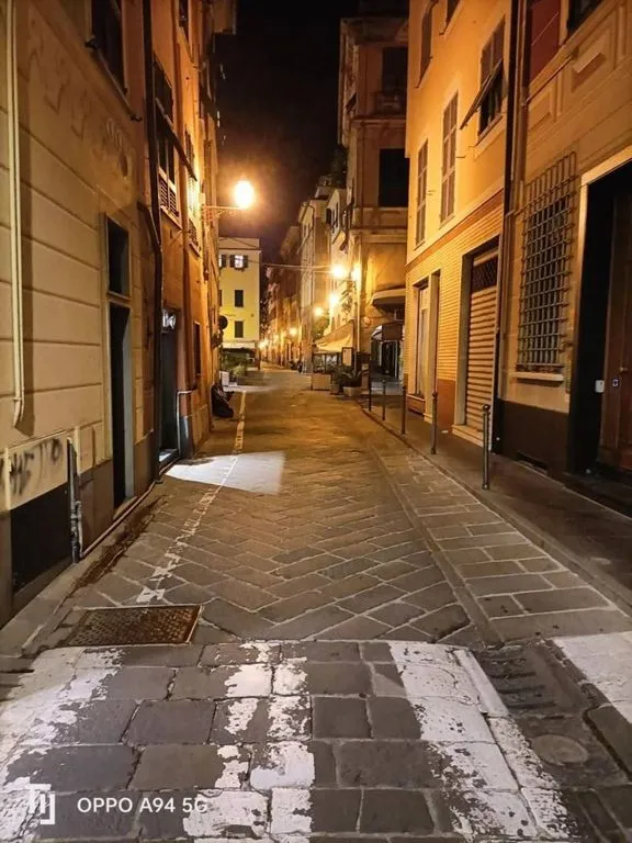 Extérieur - Luxury Flat with Historic View in Chiavari
