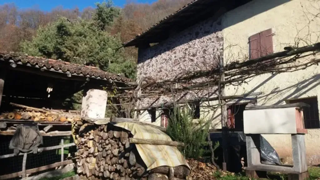 Välivaade - Rustic Property with Water Source in Vestone