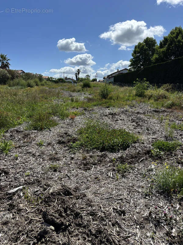 Jardin - Terrain à bâtir viabilisé à Bidart
