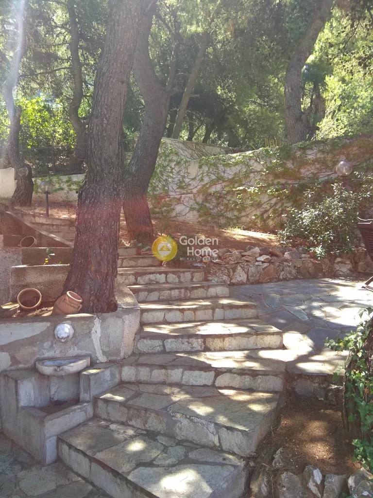 Terrasse - Detached Villa with Pool in Kifissia