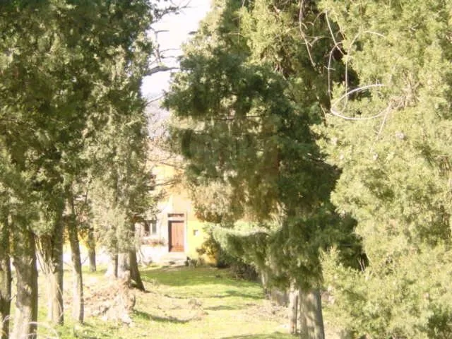 Rustic House with Olive Grove in Rufina