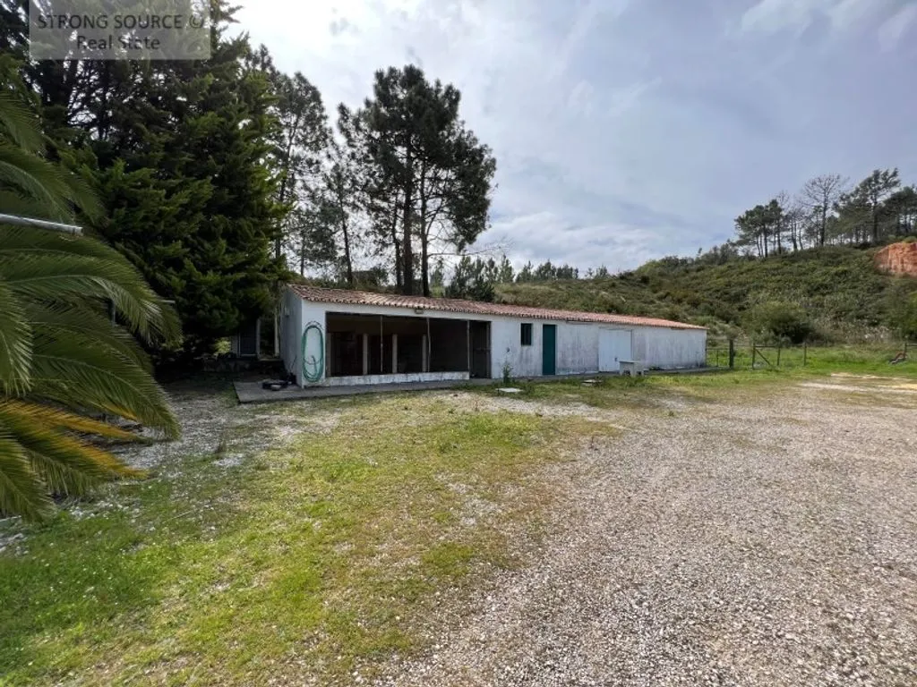 Extérieur - Luxury Detached Villa with Pool in Casal das Figueiras