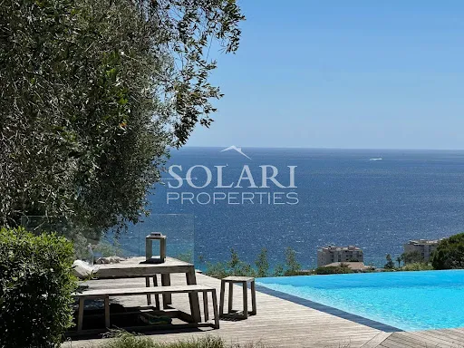 Bassein - Provençal Villa with Sea Views in Cannes