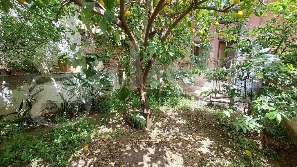 Aed - Apartment with Garden in Catania Centre