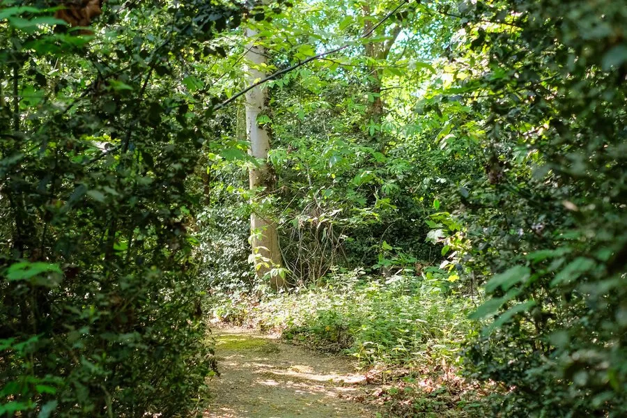 Jardin - Villa Caractéristique avec Parc de 2,7ha près de la Côte
