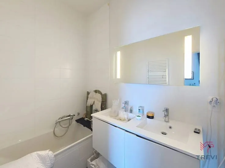 Vannitoad - Apartment in Central Brussels