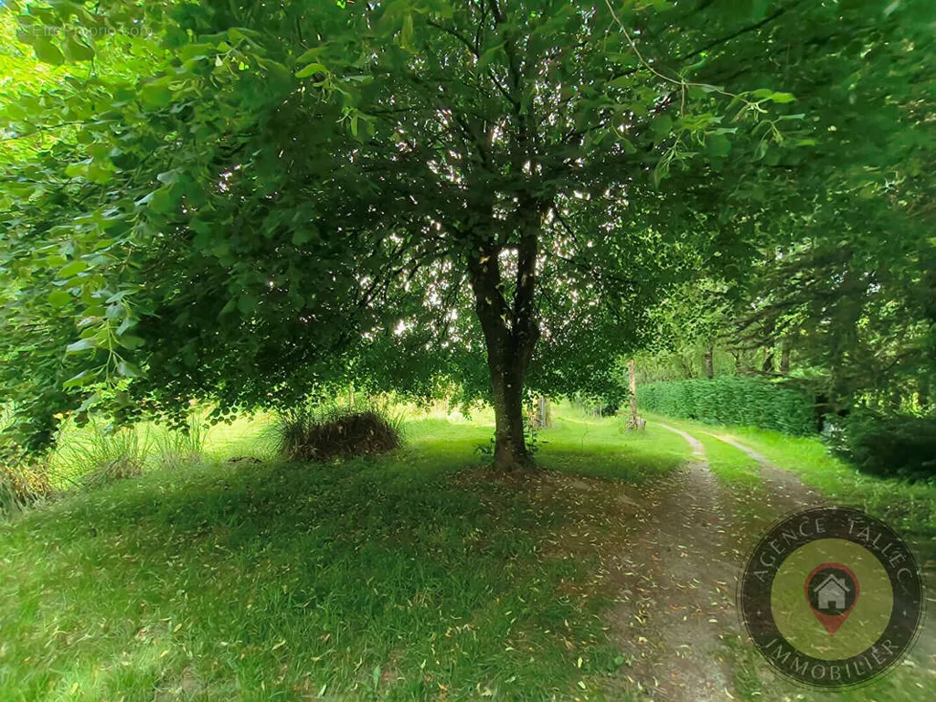 Giardino - Leisure Plot with Orchard near Dinan