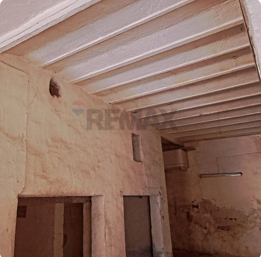 Toad - Warehouse in Historic Centre, Bagheria