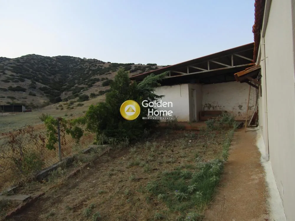 Aed - Agricultural Plot with Panoramic View in Kallithea