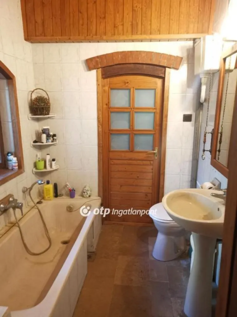 Salles de bain - Unique House with Private Lakefront in Délegyháza