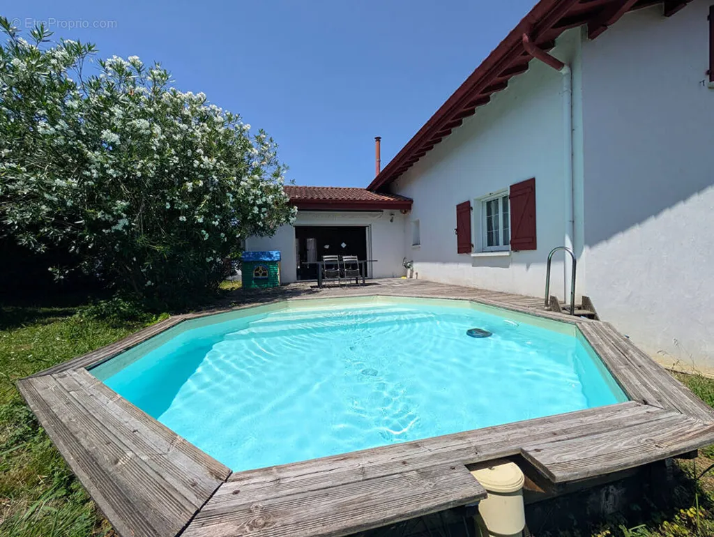 Bassein - Family House with Pool in Larressore