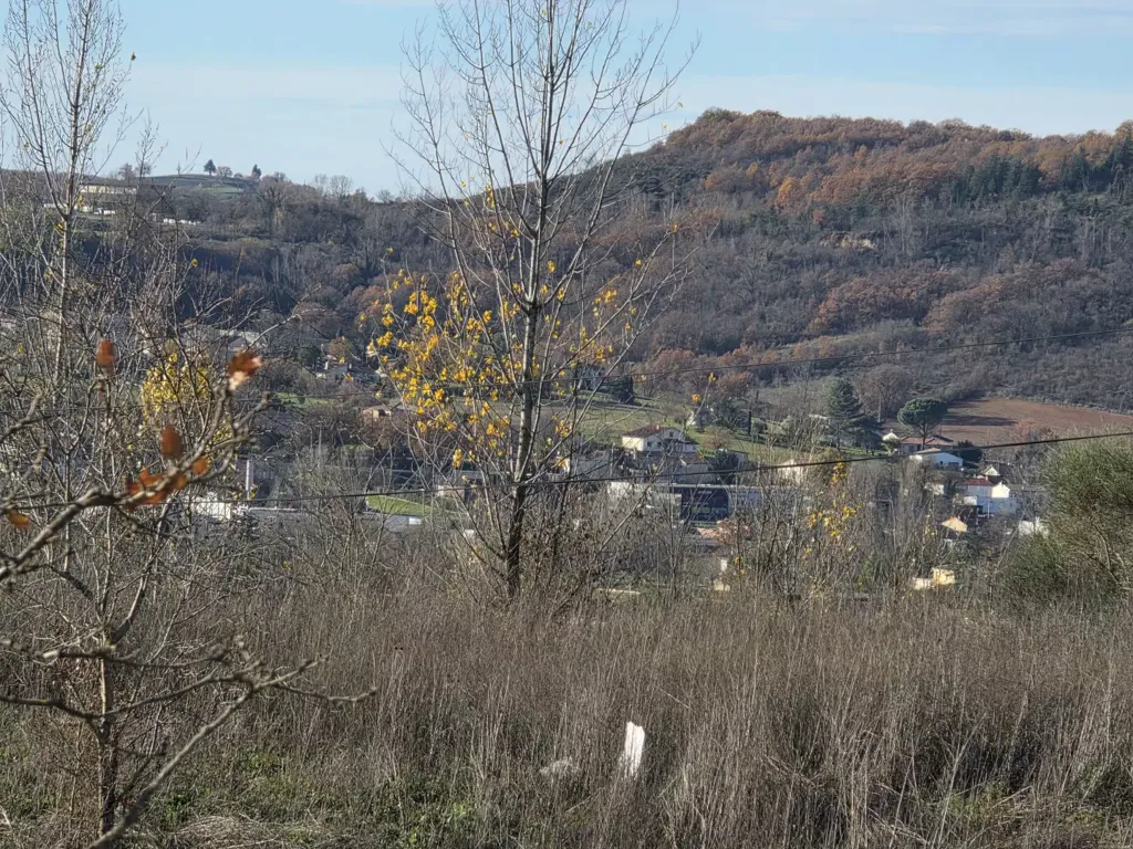 Terrain Viabilisé avec Jardin à Puygouzon