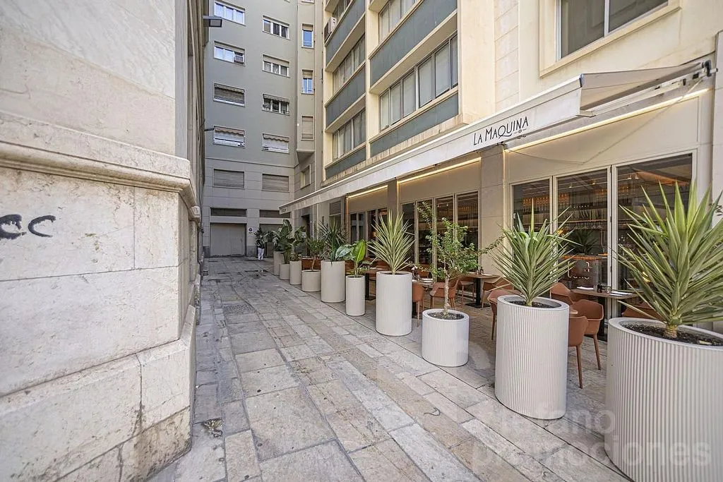 Giardino - Duplex Penthouse with Cathedral Views in Málaga