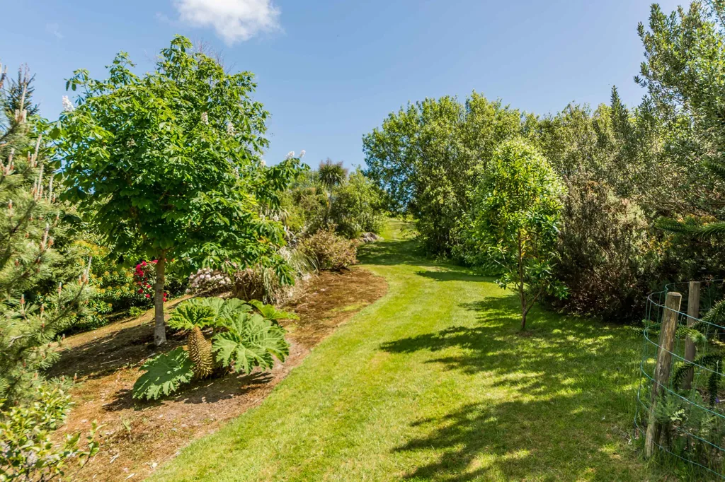 Jardin - Maison 4 chambres à Schull