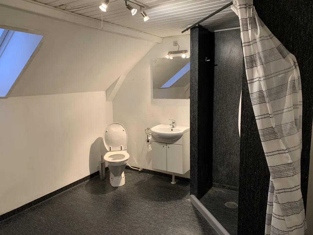 Bathrooms - Renovated House with Garden in Rødby