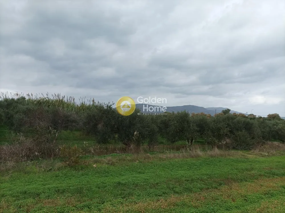 Aed - Buildable Plot with Sea View in Aprovouna, Chania