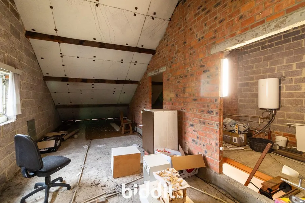 Toad - Renovatable House with Garage in Hasselt