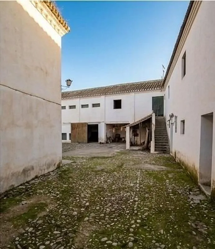 Jardin - Traditional Andalusian Chalet with Patio in Granada