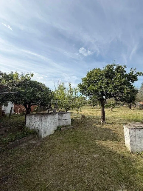 Jardin - Detached House with Fruit Trees in Água Derramada