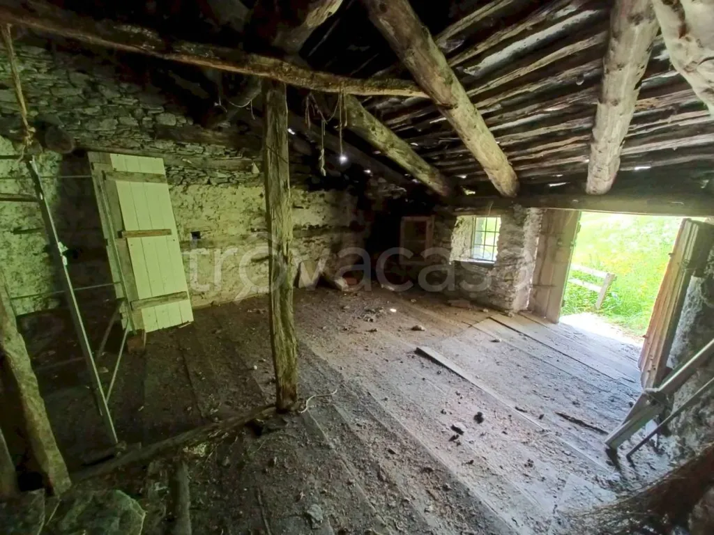 Toad - Rustic Baita with Garden in Sampeyre