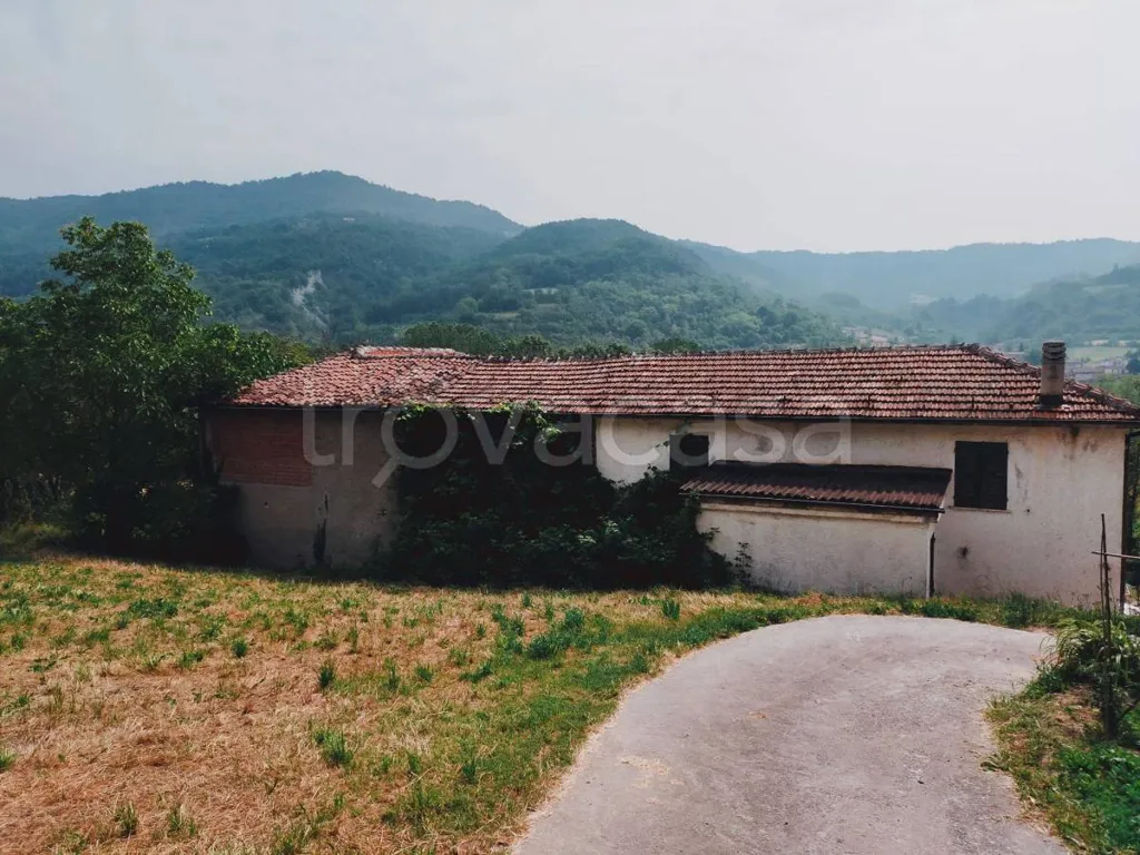 Extérieur - Rustic Home with Orchard in Saliceto