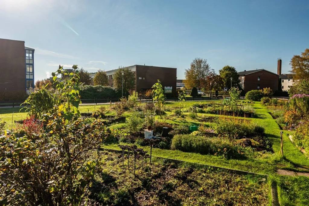 garden