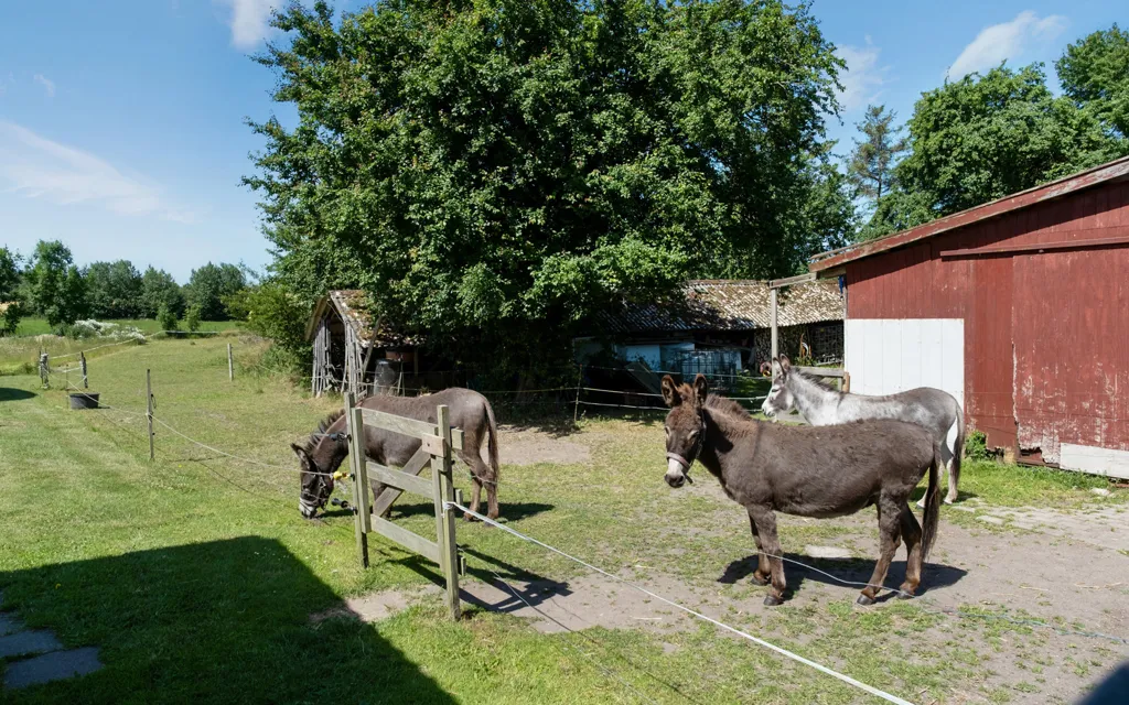 Giardino - Traditional Longhouse with Workshop in Countryside