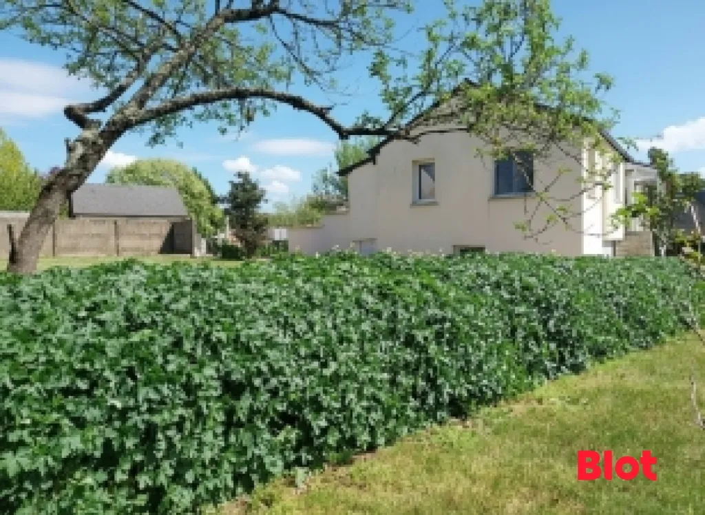 Garden - Charming House with Garden in Teillay