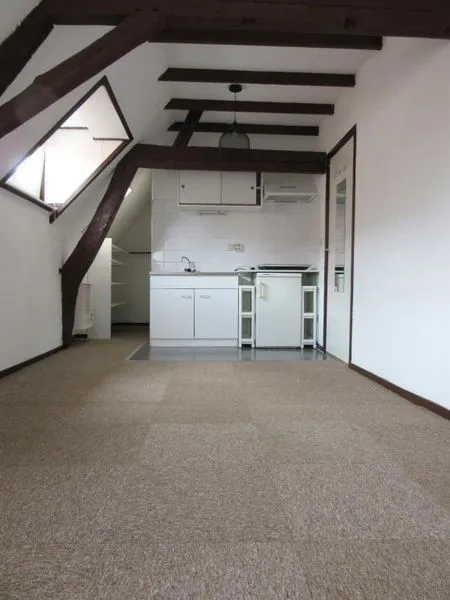 Toad - Studio with Open Kitchen in Den Bosch